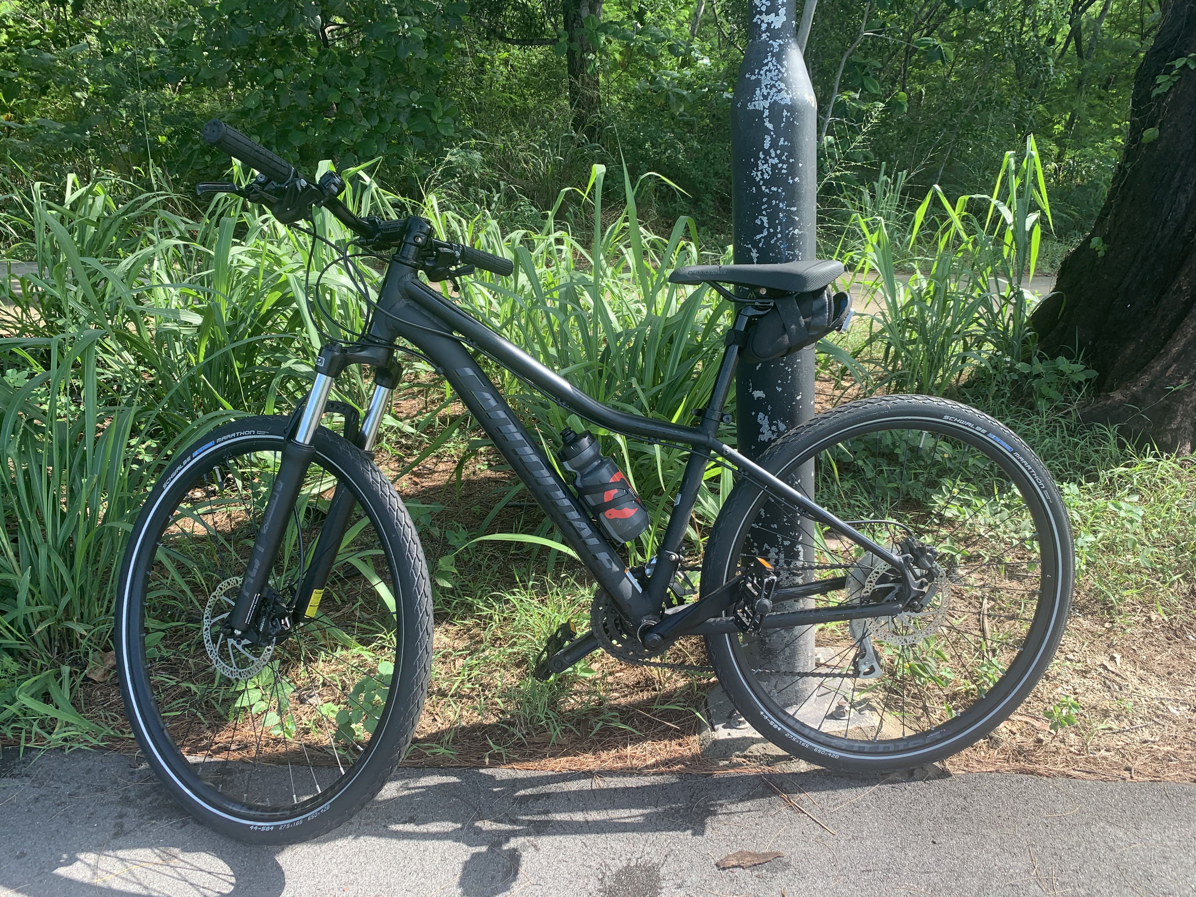 Cannondale foray for sale store