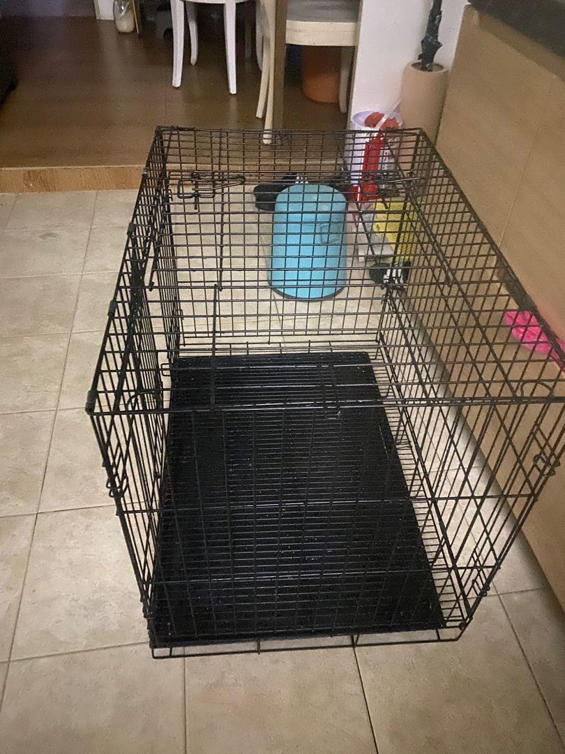 Dog Cage with Pee Tray, Pet Supplies, Homes & Other Pet Accessories on