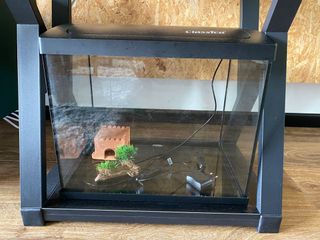 (Category: ) located in . Submitted by magwill (Listing ID 1084130087, Image 1). Description: .