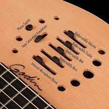 Godin gypsy shop jazz