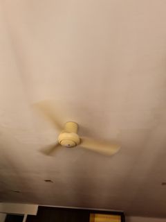 (Category: ) located in . Submitted by shafa3014 (Listing ID 1084100277, Image 1). Description: .