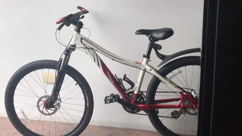 specialized fitness bike