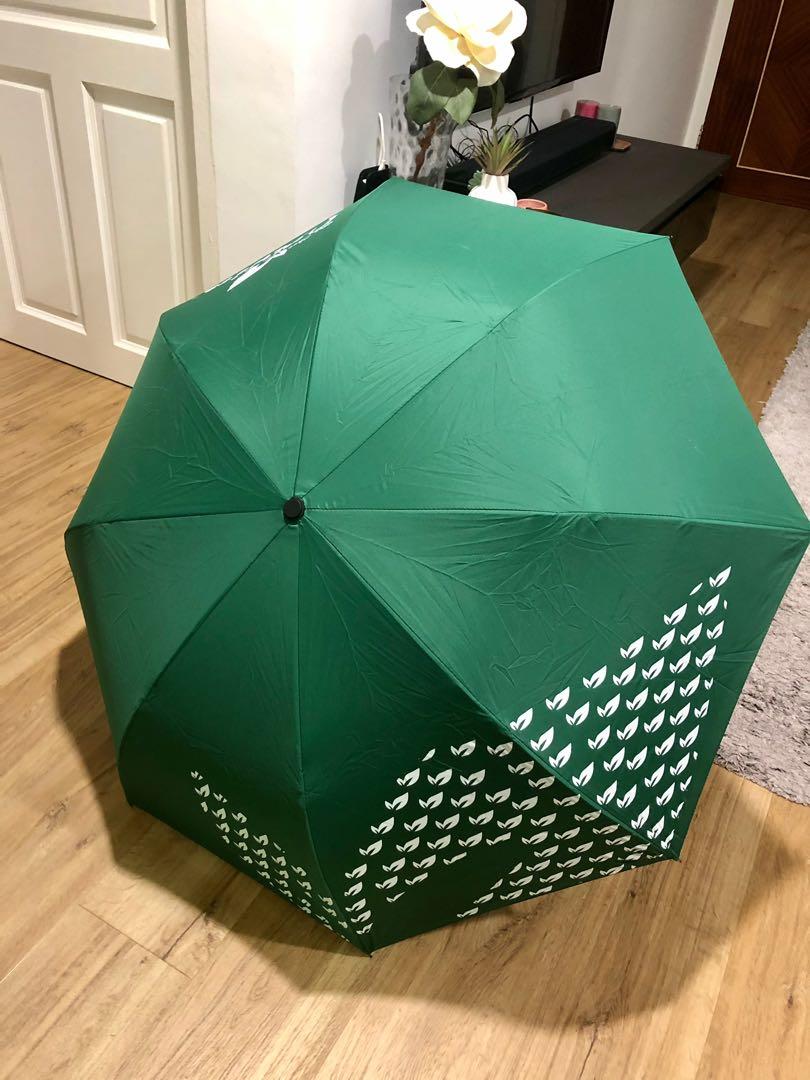 Umbrella (Origin), Everything Else on Carousell