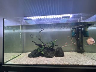 (Category: ) located in . Submitted by khrlamn (Listing ID 1084375422, Image 1). Description: .