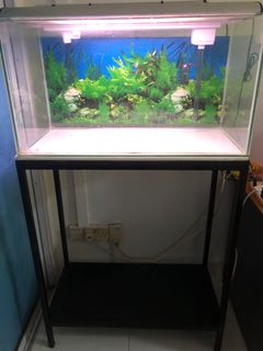 (Category: ) located in . Submitted by mike666 (Listing ID 1084330414, Image 1). Description: .