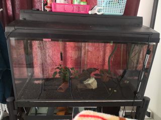 (Category: ) located in . Submitted by ghayathri03 (Listing ID 1084374771, Image 1). Description: .