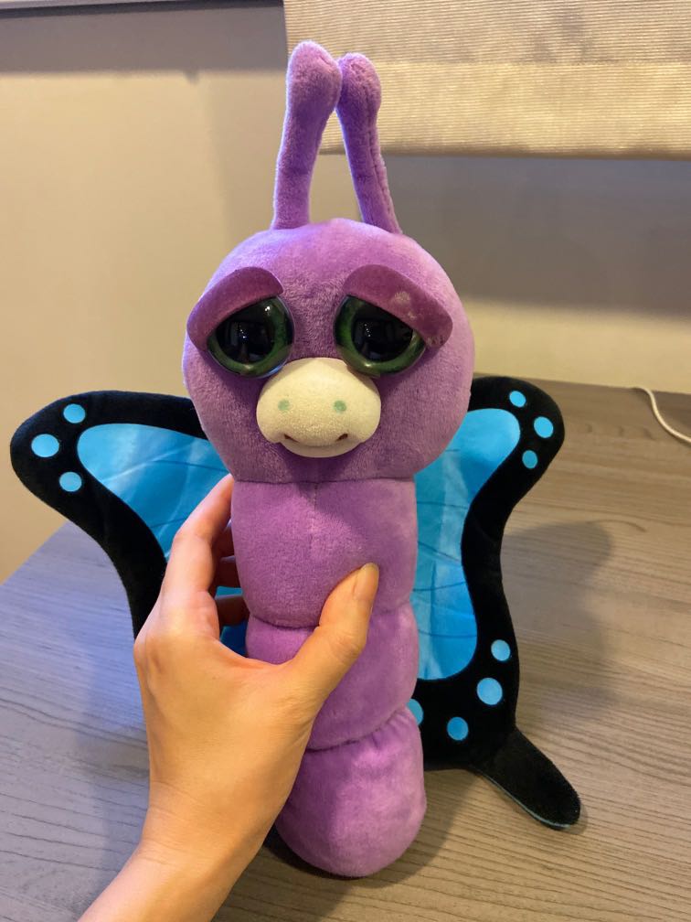 Feisty pets butterfly online