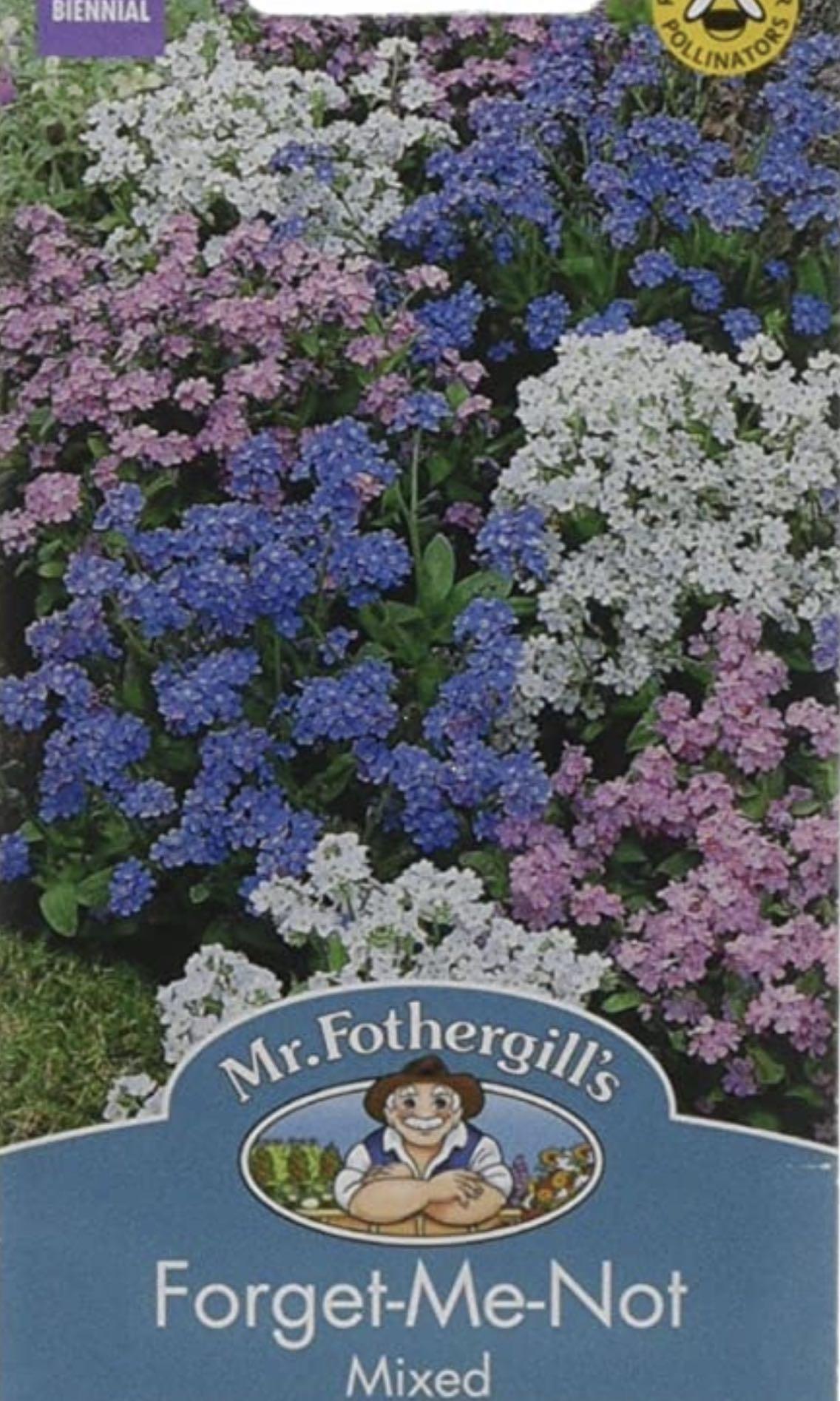 英國forget Me Not花種子 適合盆栽及季節種植 傢俬 家居 園藝 盆栽 Carousell 英國forget Me Not花種子 適合盆栽及季節種植 傢俬 家居 園藝 盆栽 Carousell
