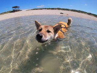 8 3 8 4 關8關八関ジャニ 十五祭15祭 福岡場周邊代買 服務類別 其他在旋轉拍賣