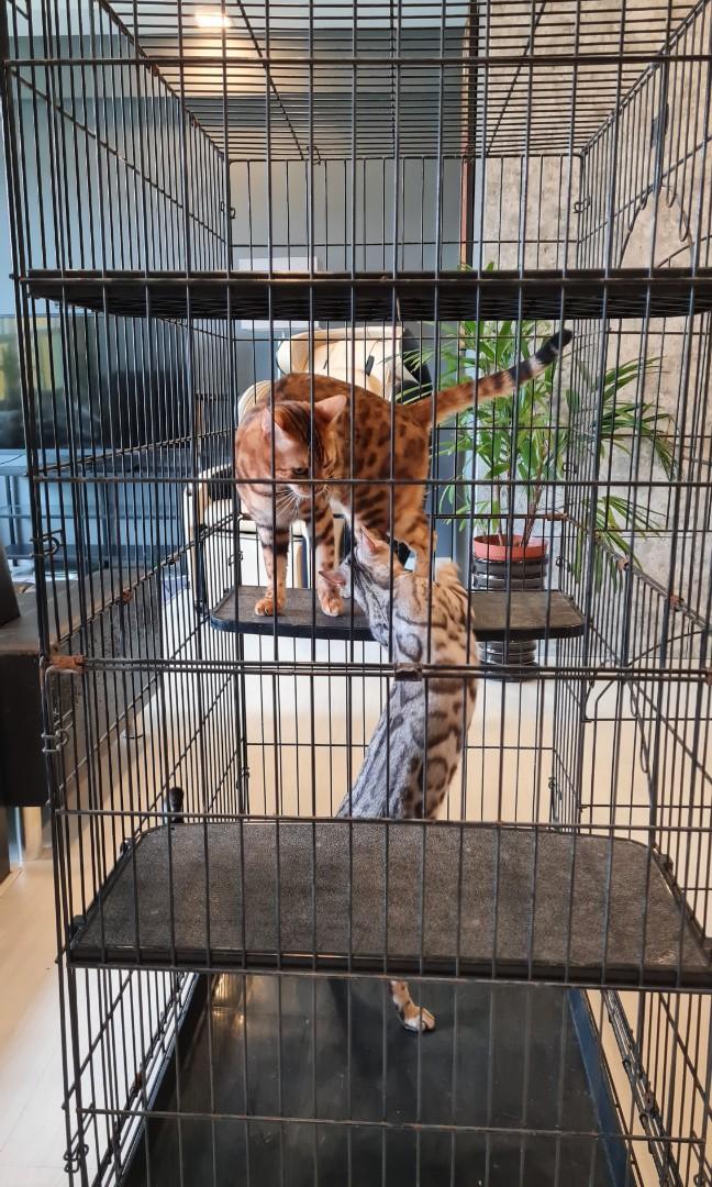 Proselect cat cage sales