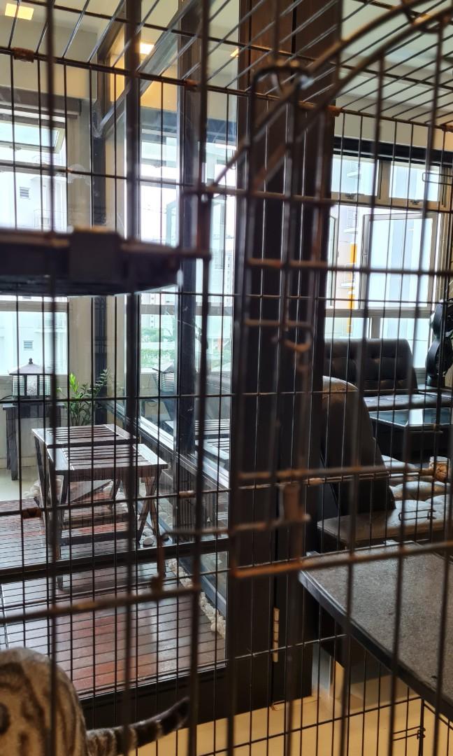 Big cat cage for multiple cats, Pet Supplies, Homes & Other Pet