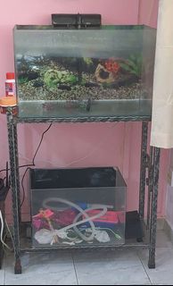 (Category: ) located in . Submitted by gloria070185 (Listing ID 1084513379, Image 1). Description: .