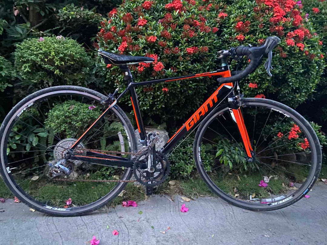 Giant Defy road bike, Sports Equipment 