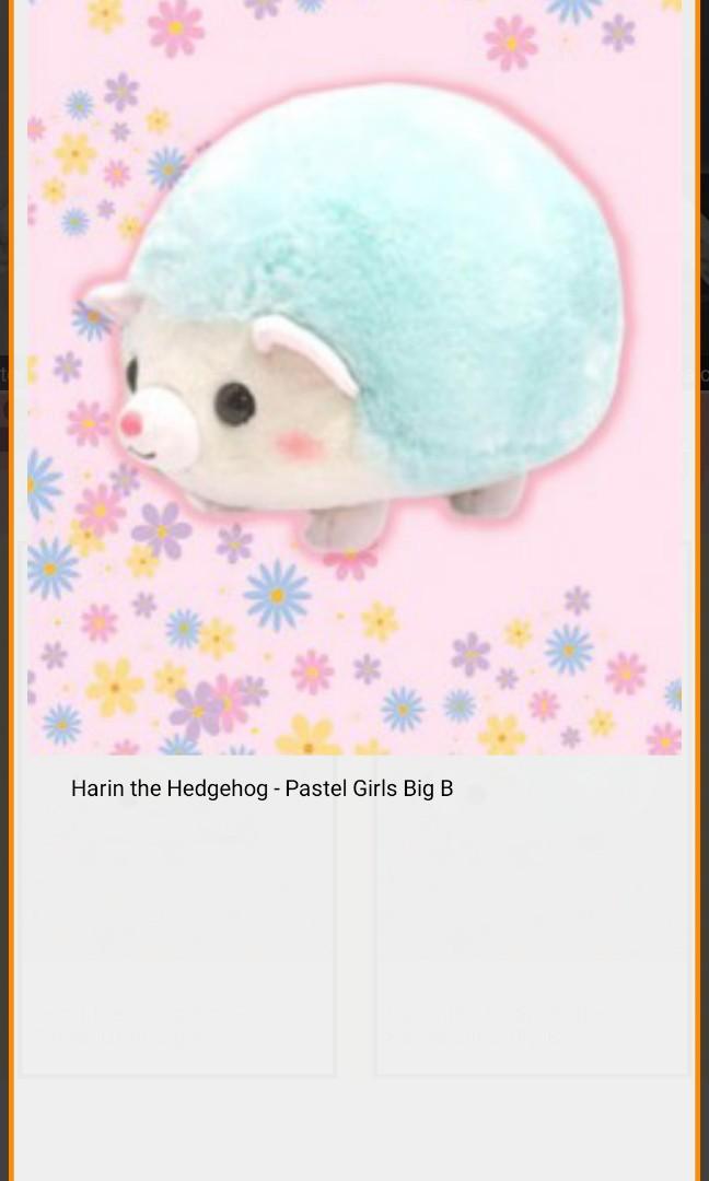 Harin the new arrivals hedgehog