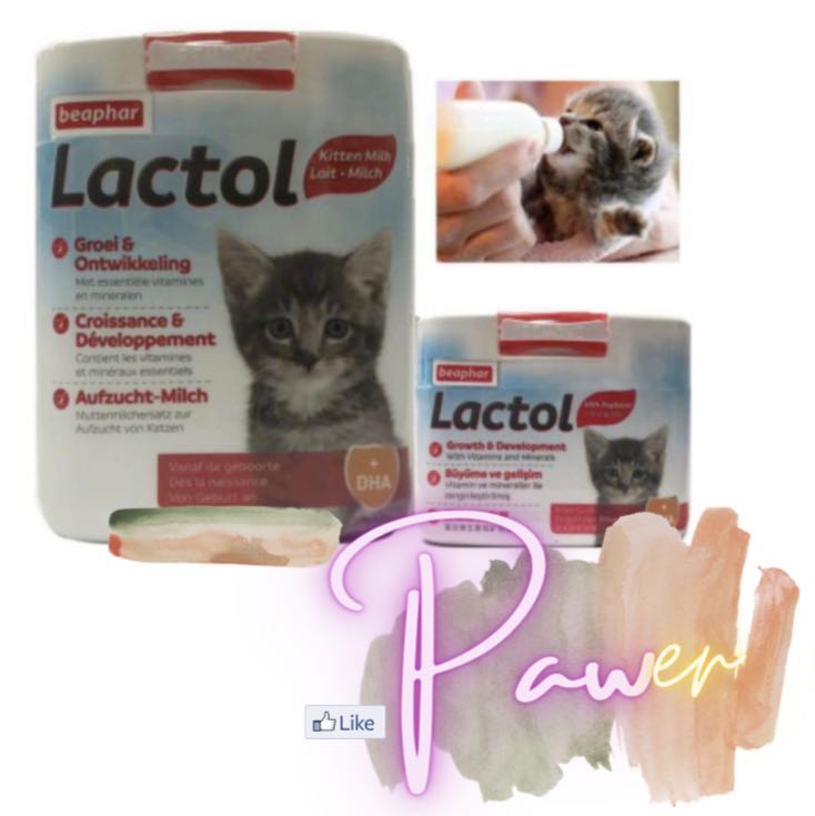 lactol cat milk