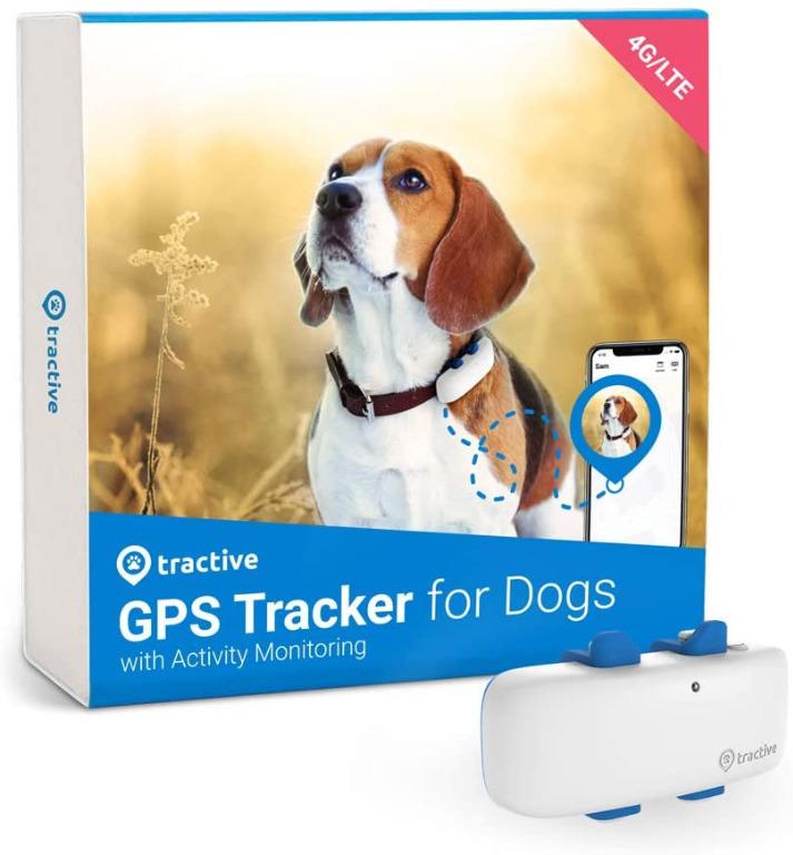 Tractive gps for dogs