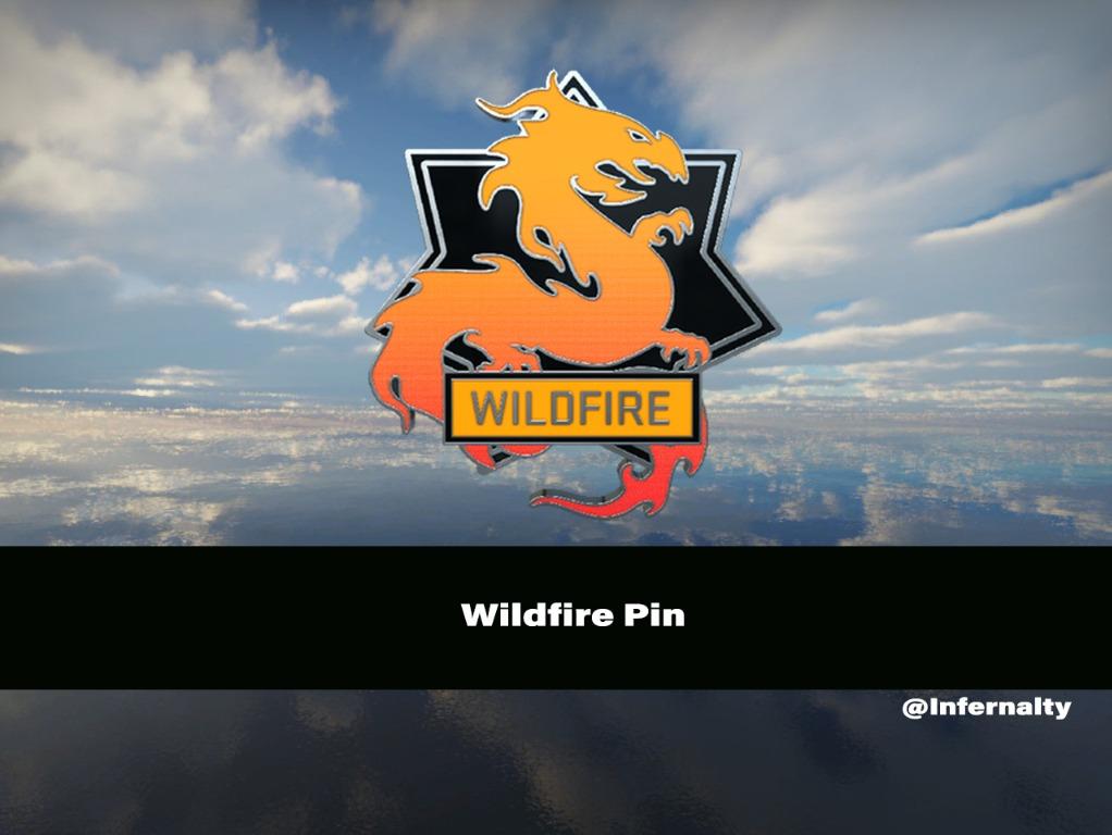 Wildfire Pin CSGO SKINS KNIVES, Video Gaming, Gaming Accessories, Game ...