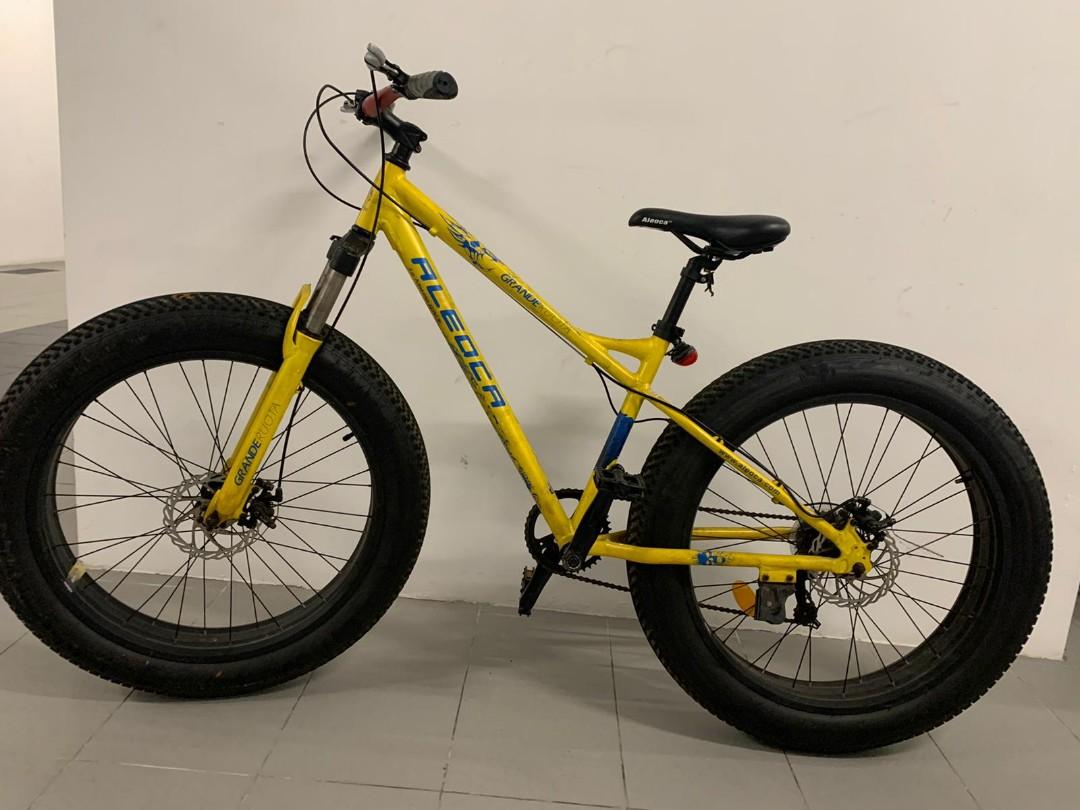 Aleoca fat hot sale bike price