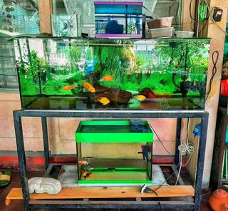 (Category: ) located in . Submitted by ddenden (Listing ID 1079176489, Image 1). Description: .