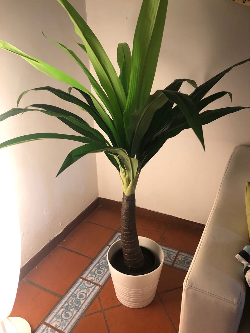 Beautiful palm artificial plant from IKEA 21.21 mts together with ...