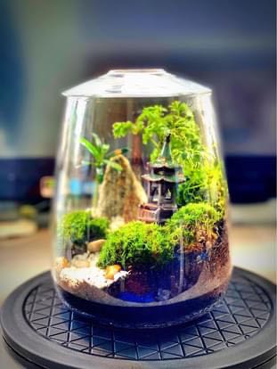 (Category: ) located in . Submitted by green_canopy_ideas (Listing ID 1079183805, Image 1). Description: .