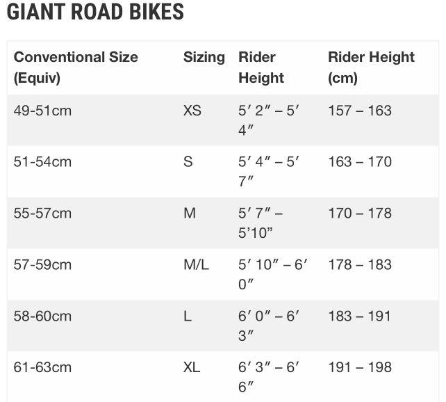 Giant fastroad on sale size chart