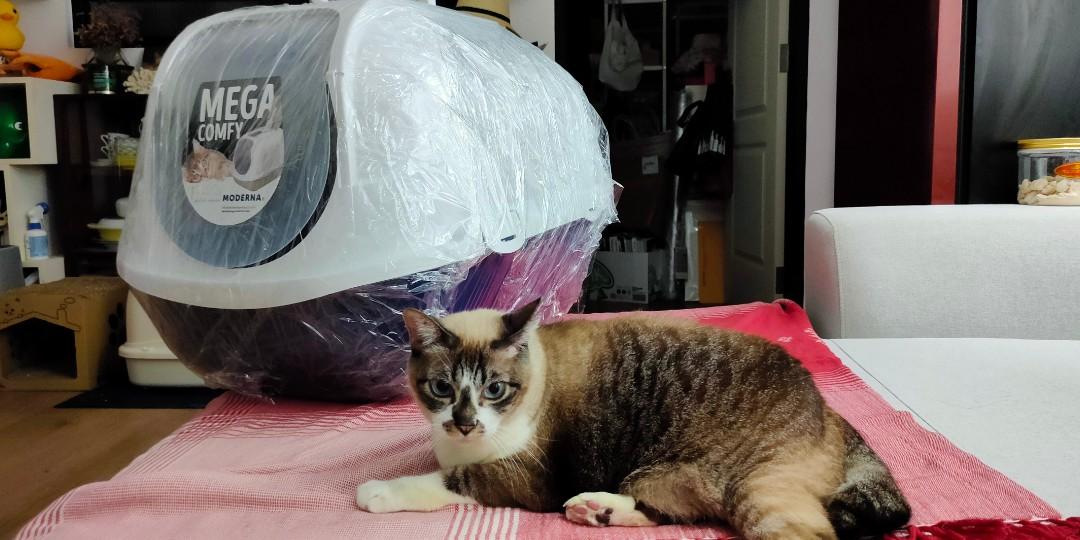 Moderna mega sales comfy litter box
