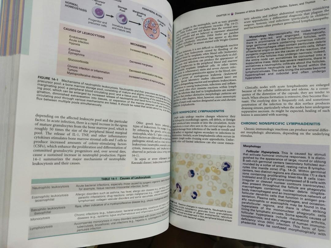 Pathologic Basis of Disease (Category: Textbooks) located in Pasig City. Submitted by ulappp (Listing ID 1079225692, Image 3). Description: in excellent condition.