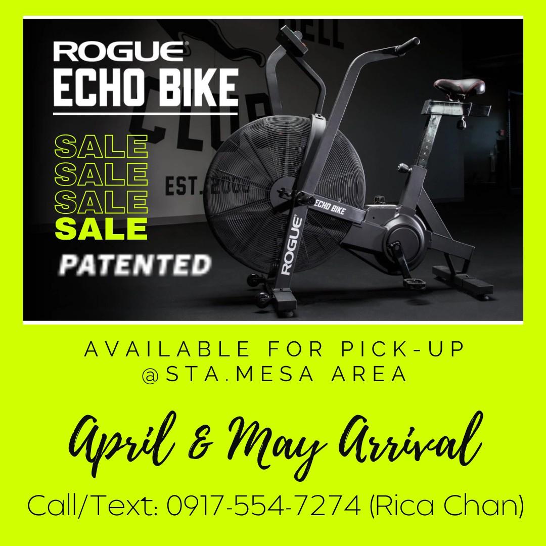 Rogue echo bike on sale store