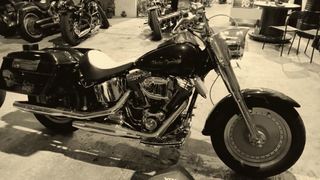 2000 harley davidson fatboy for sale