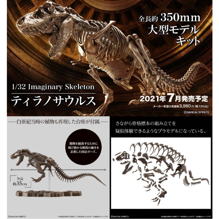 Amazon.com: Bandai Hobby - Imaginary Skeleton - 1/32