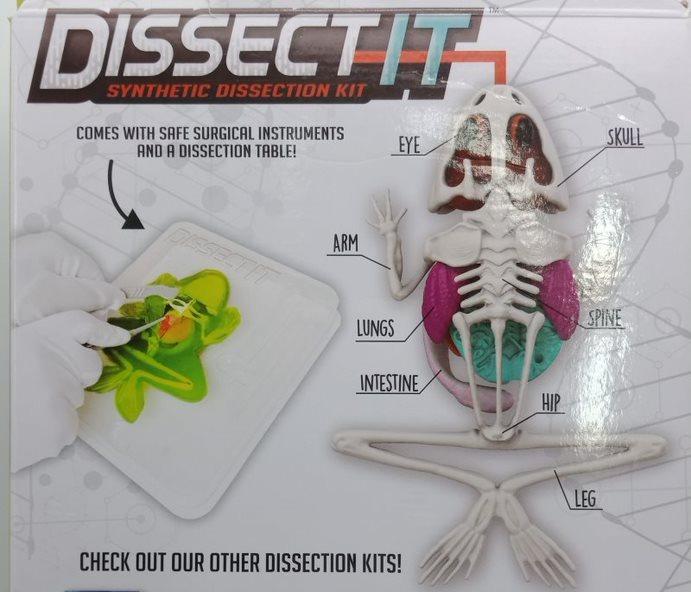 Dissect-It Frog Simulated Synthetic Lab Dissection Top Secret Toys STEM ...