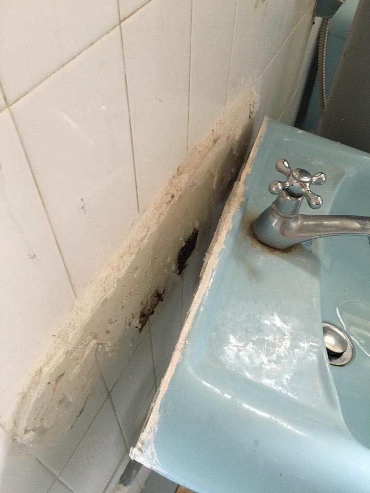 (Category: ) located in . Submitted by kohbroservice (Listing ID 1084833882, Image 1). Description: .