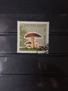 （分類：）位於 。 由 cat_ang 提交（商品編號 1079458693，圖片 1）。簡介： 。