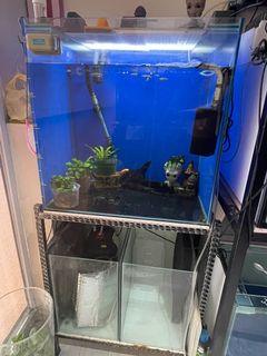 (Category: ) located in . Submitted by scottfish (Listing ID 1079448353, Image 1). Description: .
