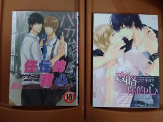 由 nomony (刊登 ID 1079567126，圖片 1) 提交，位於 的 (類別：)，說明：。