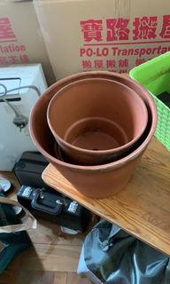 （分類：）位於 。 由 phy_llis 提交（商品編號 1079423841，圖片 1）。簡介： 。