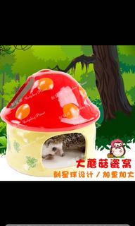 （分類：）位於 。 由 thisisbingbing 提交（商品編號 1079559534，圖片 1）。簡介： 。