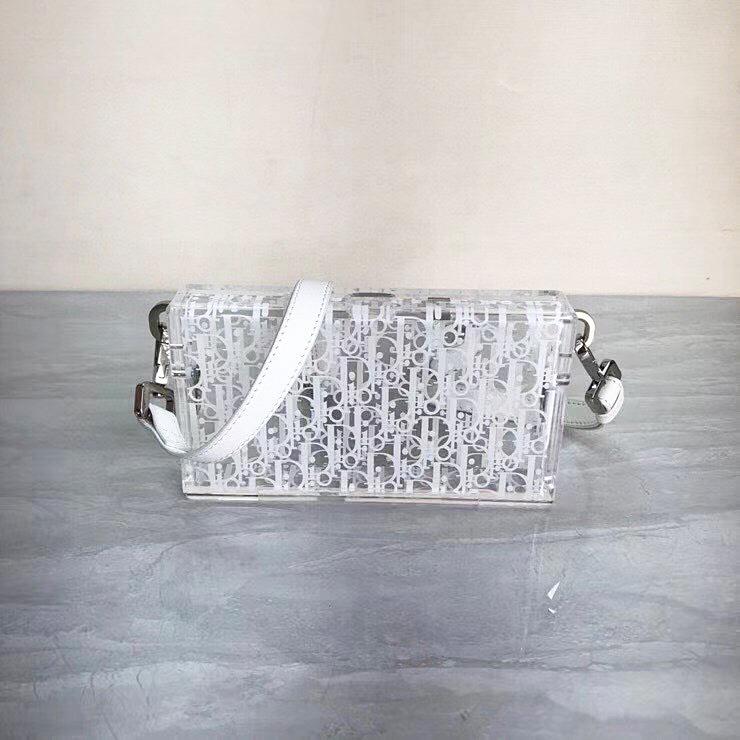 Dior oblique top plexiglass pouch
