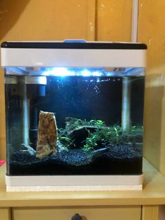 (Category: ) located in . Submitted by sh_24 (Listing ID 1079456164, Image 1). Description: .