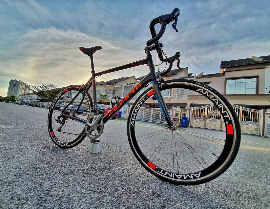 Avanti Roadbike size 60cm XL Shimano 105 10 Speeds Amaint 40 wheelset
