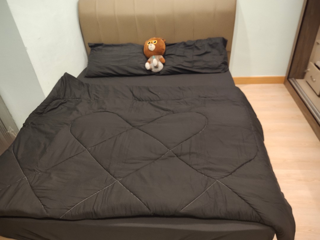 Bed sheet + comforter set (queen size), Furniture & Home ...