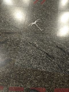 (Category: ) located in . Submitted by leejinwyn (Listing ID 1079442424, Image 1). Description: .