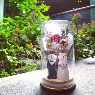 （分類：）位於 。 由 kt.lee 提交（商品編號 1079483396，圖片 1）。簡介： 。