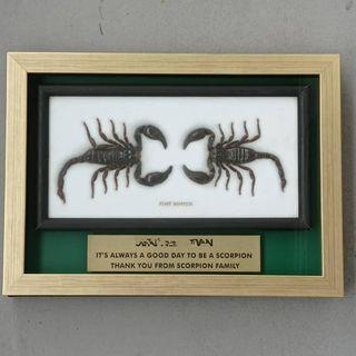 Farewell Plaques/ Gift - Army/ Navy/ Airforce/ SCDF/ Police/ Paramedics/ Gurkhas 
