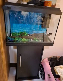(Category: ) located in . Submitted by dhiasha (Listing ID 1079484852, Image 1). Description: .