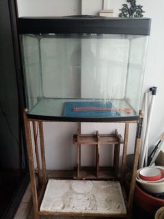 (Category: ) located in . Submitted by juno_k (Listing ID 1079388001, Image 1). Description: .