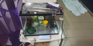 (Category: ) located in . Submitted by hermanbelang (Listing ID 1079546502, Image 1). Description: .