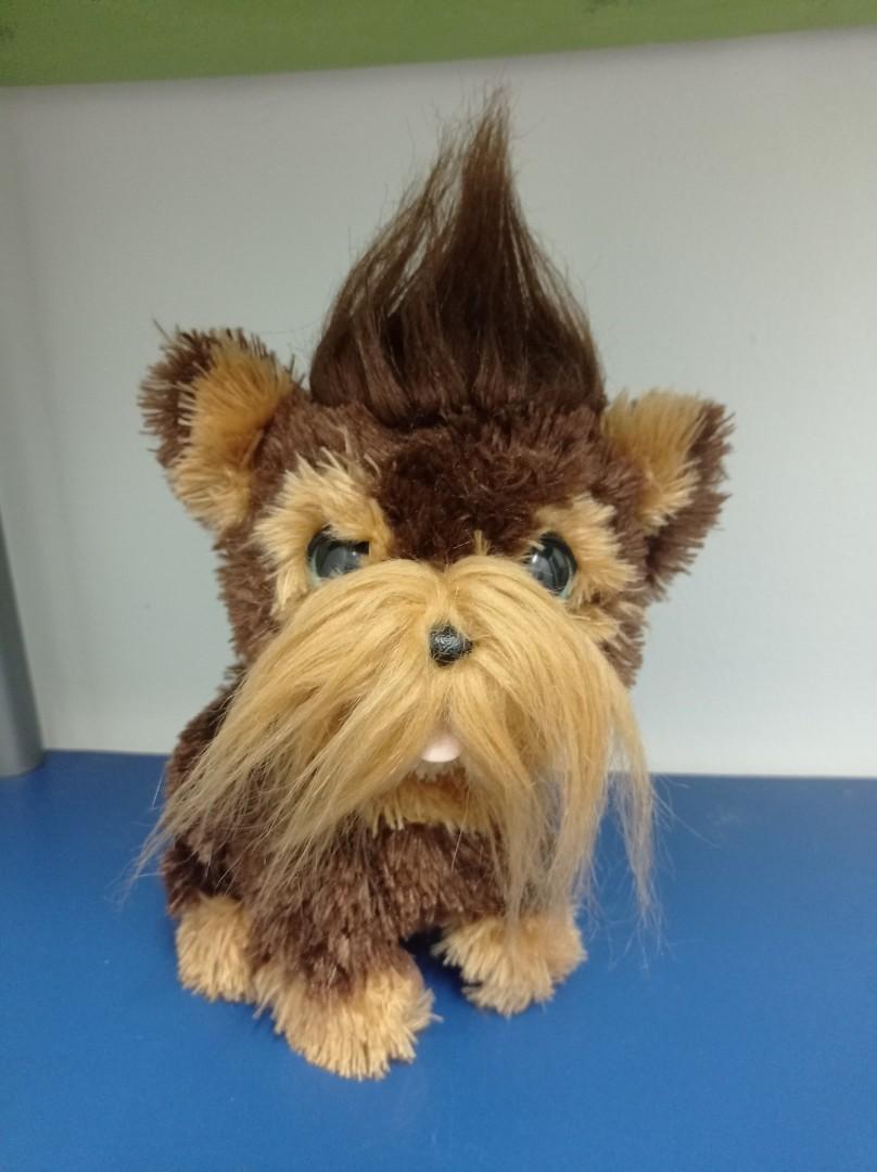 Shaggy shawn dog discount
