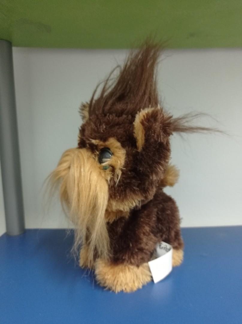Shaggy online shawn dog